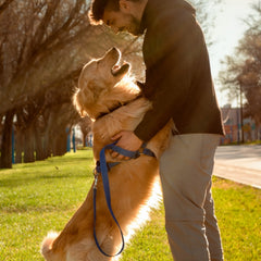 Collection image for: ZenXstore Pets