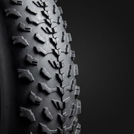Fatbike Bandenset 20x4.0 – Buitenband met Noppenprofiel + Binnenband Autoventiel