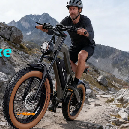 Elektrische Fatbike 20 inch – 250W/750W Offroad E-bike | 48V 18,2Ah | 160 km bereik
