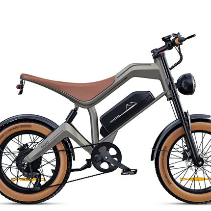 DYU M20 elektrische fatbike - zwart - 20 inch offroad banden | ZenXstore
