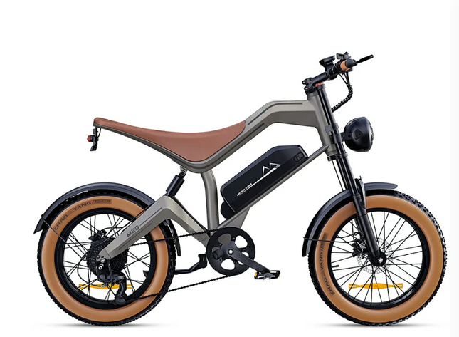 DYU M20 elektrische fatbike - zwart - 20 inch offroad banden | ZenXstore
