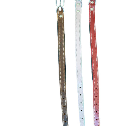 ZenXstore Halsband Hond 100% Echt Leer met beschermend laagje verschillende kleuren 38cm X 2cm - ZenXstore