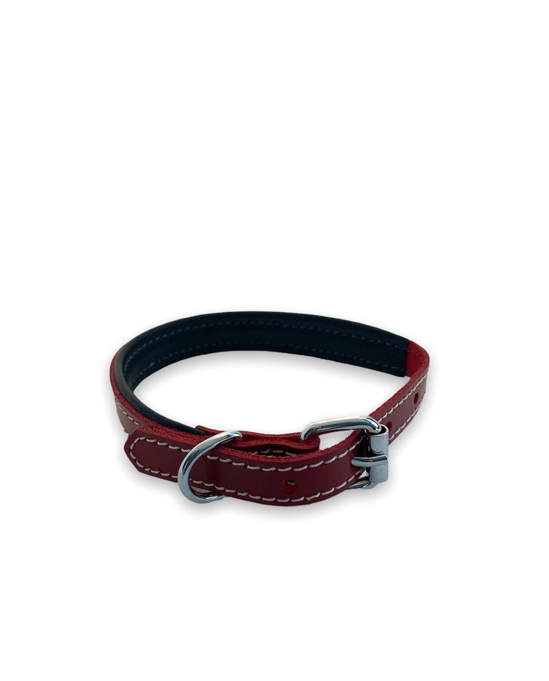 ZenXstore Halsband Hond 100% Echt Leer met beschermend laagje verschillende kleuren 38cm X 2cm