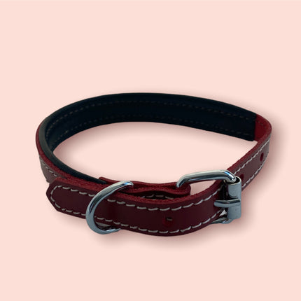 ZenXstore Halsband Hond 100% Echt Leer met beschermend laagje verschillende kleuren 38cm X 2cm - ZenXstore