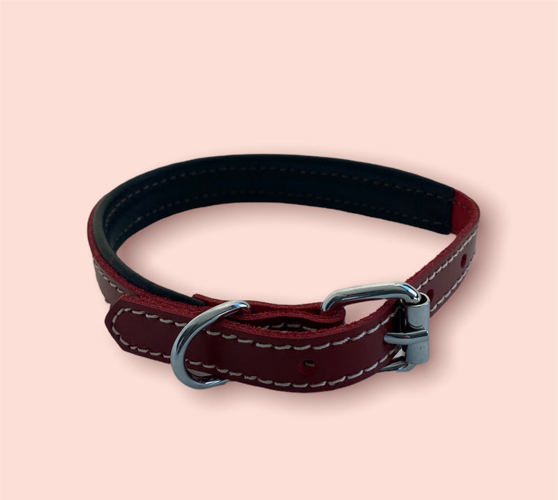 ZenXstore Halsband Hond 100% Echt Leer met beschermend laagje verschillende kleuren 38cm X 2cm