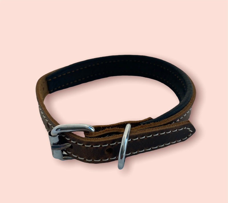 ZenXstore Halsband Hond 100% Echt Leer met beschermend laagje verschillende kleuren 38cm X 2cm