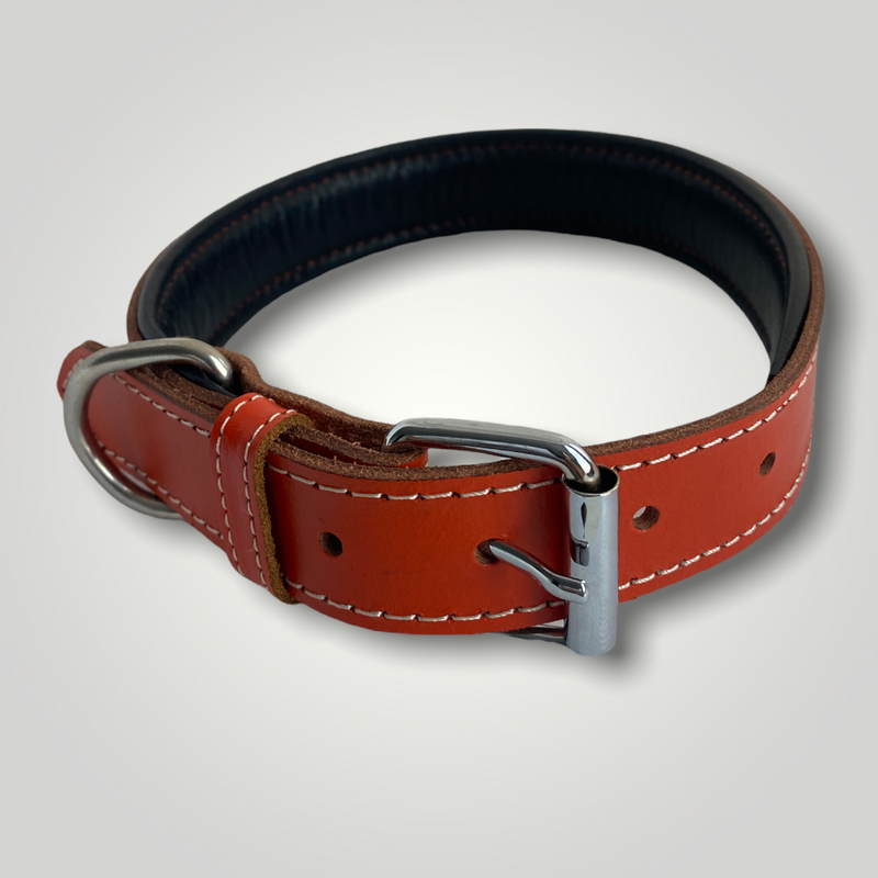 ZenXstore Halsband Hond 100% Echt Leer, Met beschermend laagje 54cm X 3cm