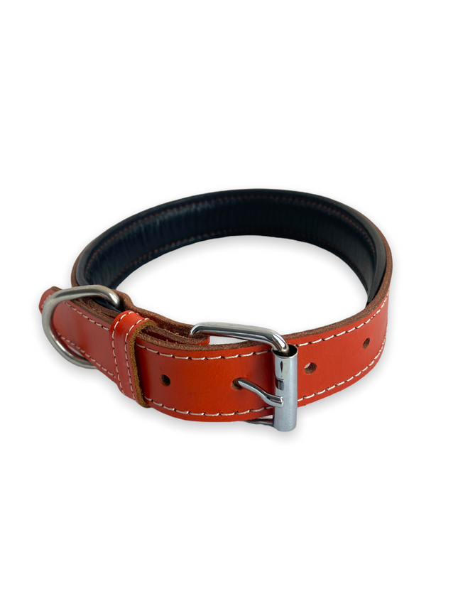 ZenXstore Halsband Hond 100% Echt Leer, Met beschermend laagje 54cm X 3cm - ZenXstore